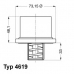 4619.82 WAHLER Термостат, охлаждающая жидкость