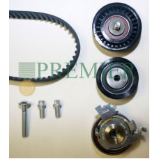 PBTK049 BRT Bearings Комплект ремня ГРМ