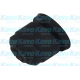 SCR-6504<br />KAVO PARTS