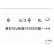 19032943 CORTECO Тормозной шланг