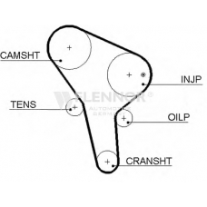 4453V FLENNOR Ремень ГРМ
