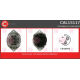 CAL15117<br />CASCO