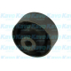 SCR-4523<br />KAVO PARTS