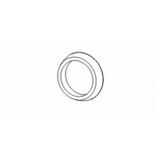 498241 ERNST Уплотнительное кольцо, труба выхлопного газа