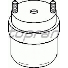 107 976 TOPRAN Подвеска, двигатель