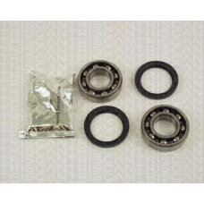 8530 11202 TRIDON Wheel bearing kit