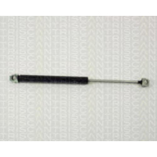 8710 11102 TRIDON Gas spring front