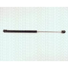 8710 16216 TRIDON Gas spring rear