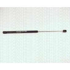 8710 25201 TRIDON Gas spring rear