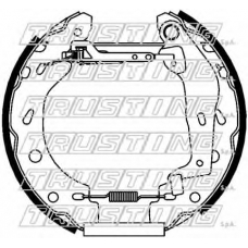 6452 TRUSTING Комплект тормозных колодок