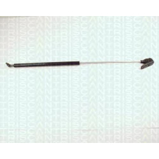 8710 69203 TRIDON Gas spring rear