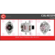 CAL40329<br />CASCO