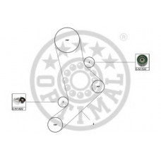 SK-1654 OPTIMAL Комплект ремня грм