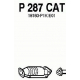 P287CAT