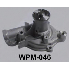 WPM-046 ASCO Водяной насос