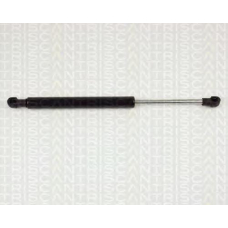 8710 27207 TRIDON Gas spring rear