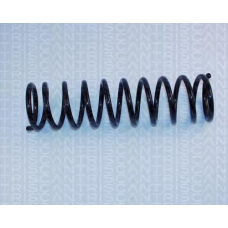 8750 2934 TRIDON Coil spring rear