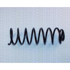 8750 2946 TRIDON Coil spring rear