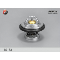 TS163 FENOX Термостат, охлаждающая жидкость