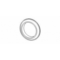 498661 ERNST Уплотнительное кольцо, труба выхлопного газа