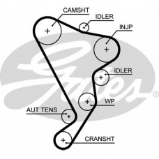 5661XS GATES Ремень ГРМ