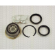 8530 13102 TRIDON Wheel bearing kit