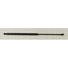 8710 28219 TRIDON Gas spring rear