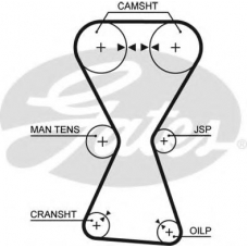 5255XS GATES Ремень ГРМ