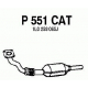 P551CAT