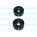 DIP-5502 KAVO PARTS Паразитный / ведущий ролик, поликлиновой ремень