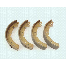 8100 27244 TRIDON Brake shoes