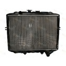 D70512TT THERMOTEC Радиатор, охлаждение двигателя
