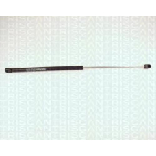 8710 25210 TRIDON Gas spring rear