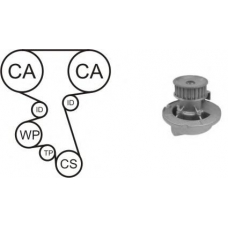 WPK-164202 AIRTEX Водяной насос + комплект зубчатого ремня