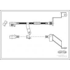 19032429 CORTECO Тормозной шланг