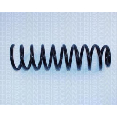 8750 2970 TRIDON Coil spring rear