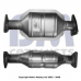 BM80289H BM CATALYSTS Катализатор