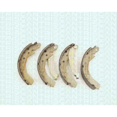 8100 21610 TRIDON Brake shoes