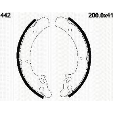 8100 70442 TRIDON Brake shoes