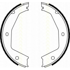 8100 10034 TRISCAN Комплект тормозных колодок, стояночная тормозная с
