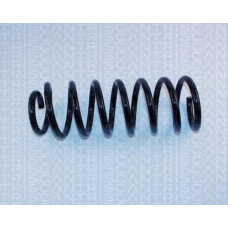 8750 2979 TRIDON Coil spring rear