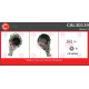 CAL30119<br />CASCO