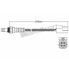 250-24951 WALKER Лямбда-зонд