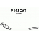 P163CAT