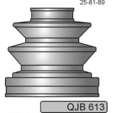 QJB613 FRIESEN 