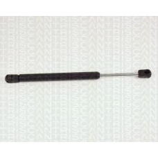 8710 25205 TRIDON Gas spring rear