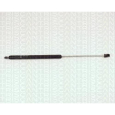 8710 2706 TRIDON Gas spring rear