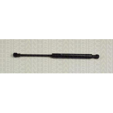 8710 11107 TRIDON Gas spring front