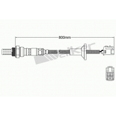 250-24188 WALKER Лямбда-зонд