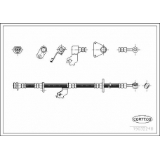 19032248 CORTECO Тормозной шланг